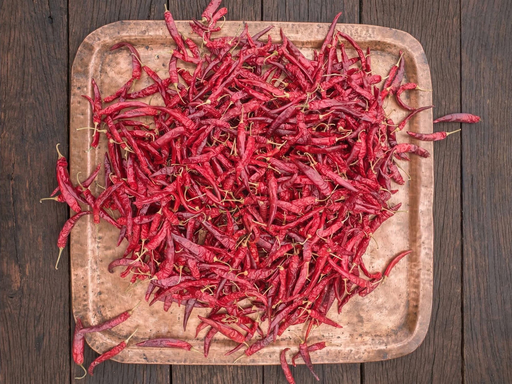 Guntur 341 Variety Red Chilli